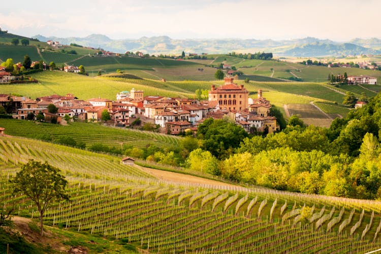 Private Barolo wine tour and tasting from Torino