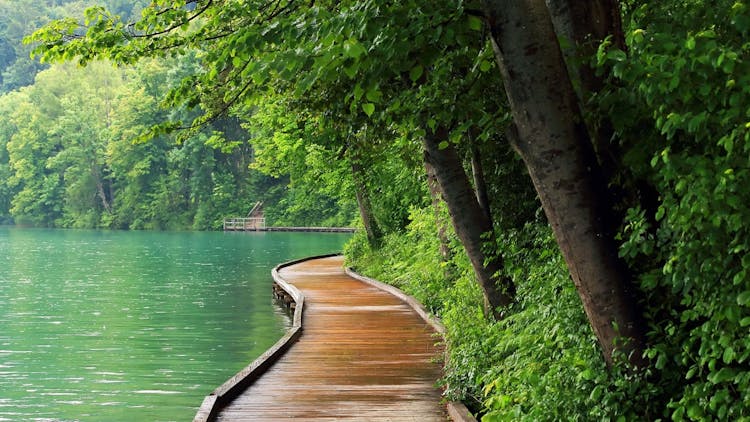 Alpine lakes tour from Ljubljana