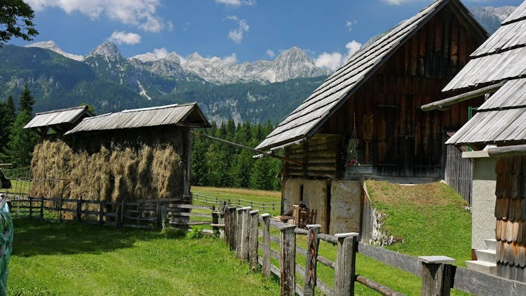 Alpine lakes tour from Ljubljana