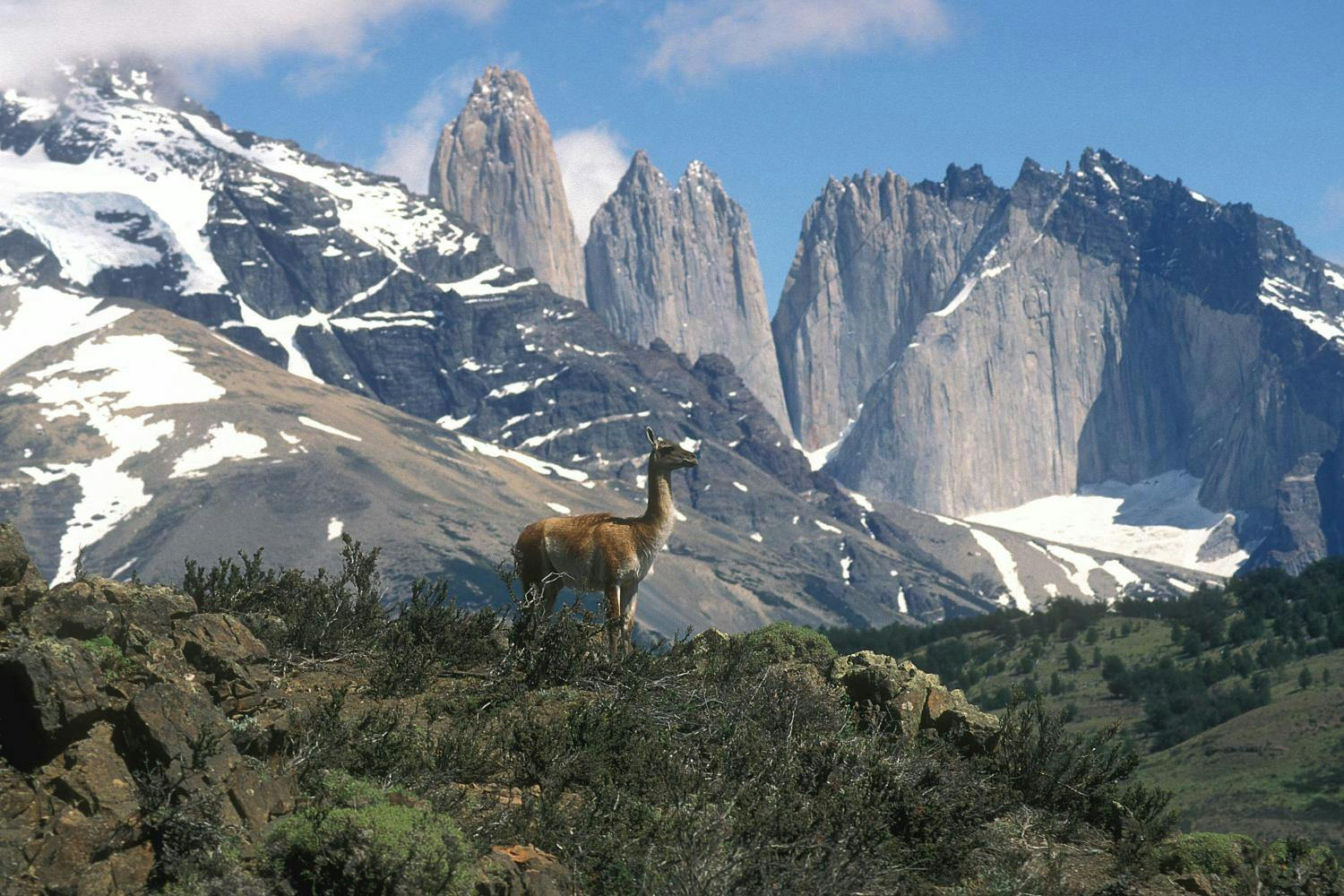 Torres del Paine National Park 2.jpg