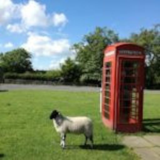 Sheep-and-Phone-Box-at-Goathland-150x150.jpg