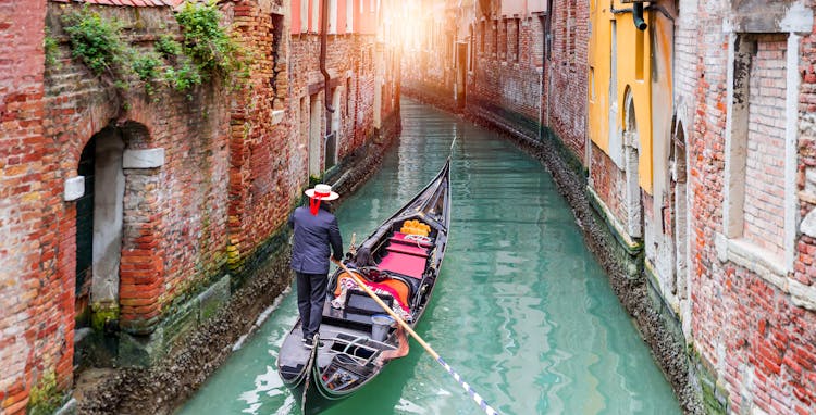 Private walking tour of Venice with gondola ride