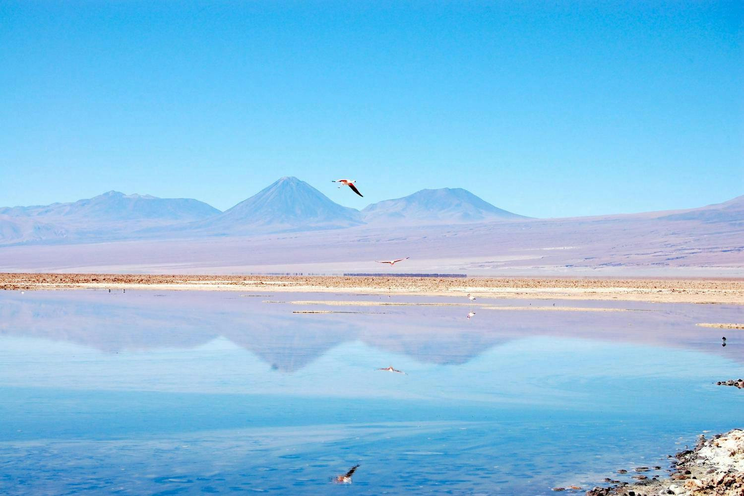 Cejar Lagoon Chile 1.jpg