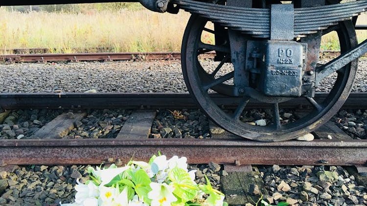 Auschwitz-Birkenau guided tour from Wroclaw