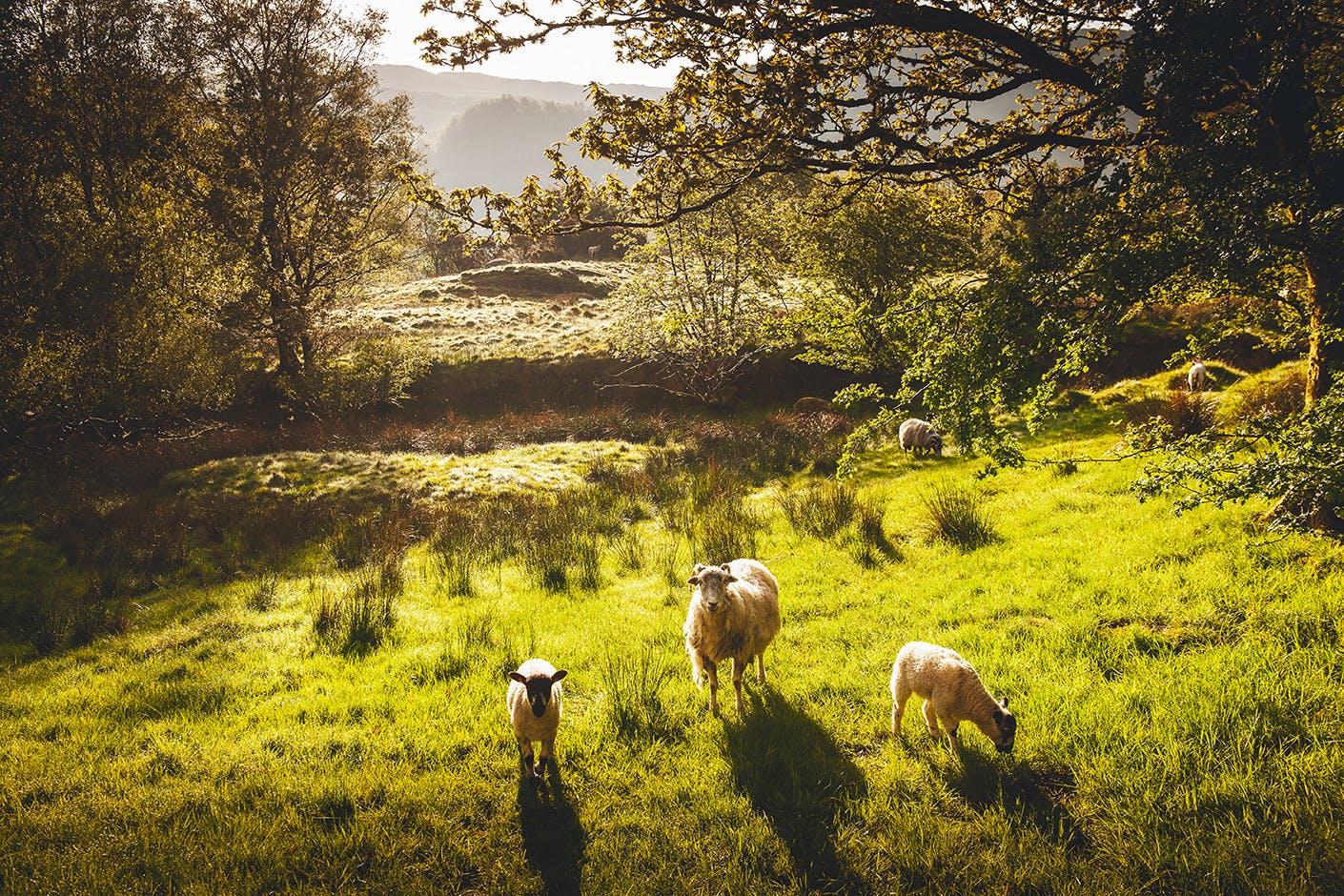 Lake District 3.jpg