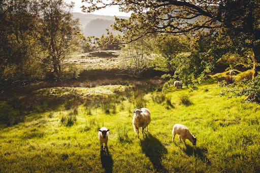 Lake District 3.jpg