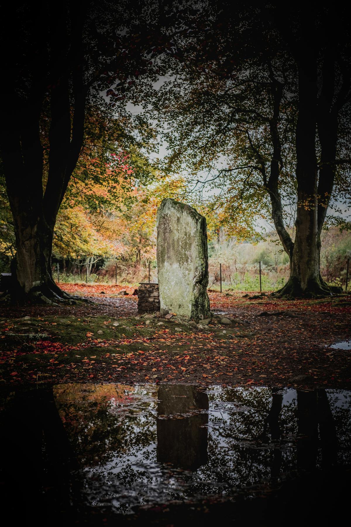 CLAVA CAIRNS 2.jpg