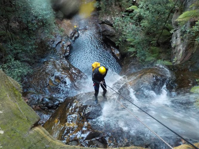 Abseiling and canyoning adventure at Blue Mountains