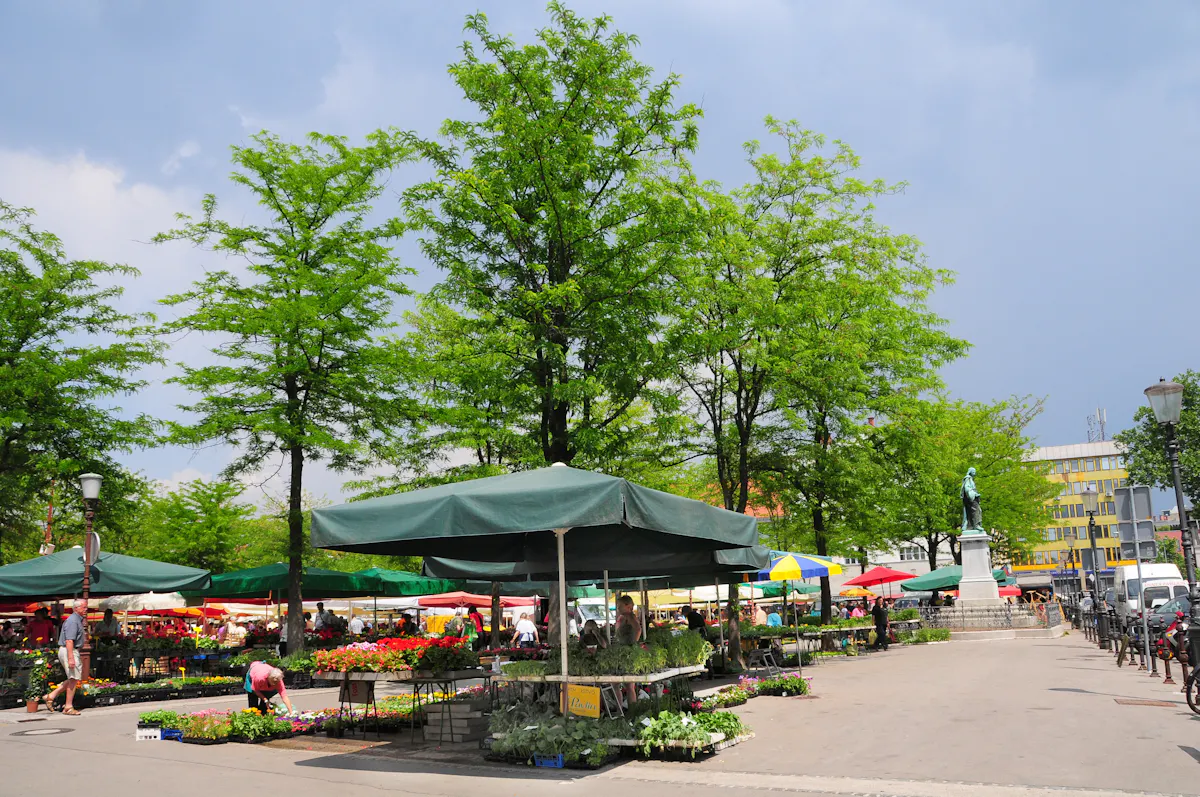 Centralna trznica_2011_Dunja Wedam.JPG