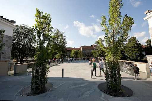 Mesarski most_2010_Gregor Murn (1).jpg