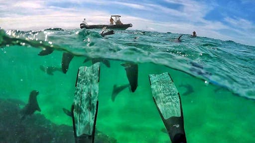 Seal Viewing Tour5.jpg