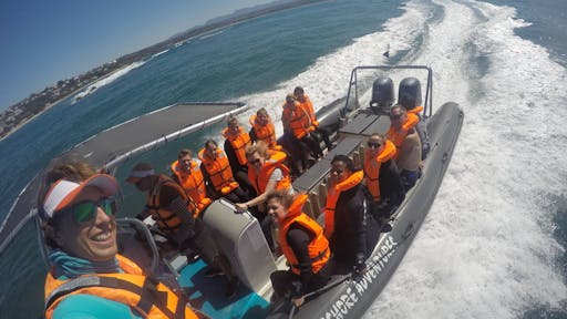 Seal Viewing Tour1.jpg