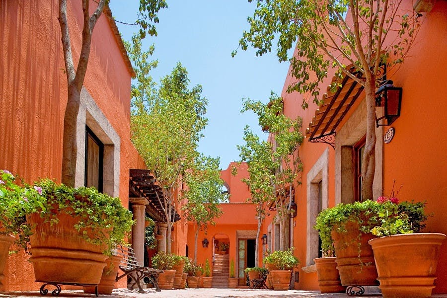 SAN MIGUEL DE ALLENDE 1.jpg