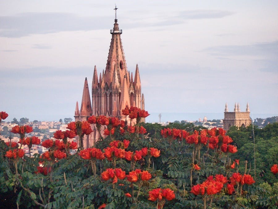 SAN MIGUEL DE ALLENDE 17.jpg