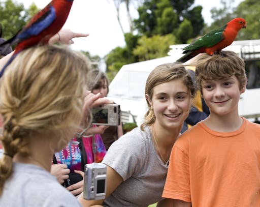 Bird feeding.jpg