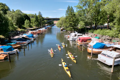 2018-06-15 at 12-34-19 copy.jpg