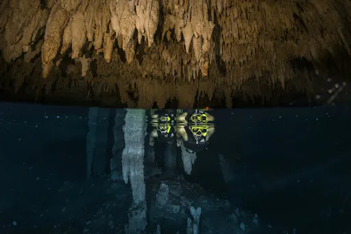 Native Park Tulum 1.jpeg