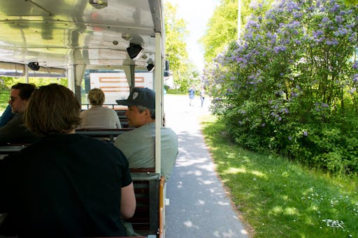 royal_djurgarden_tour-53-kopia-scaled.jpg