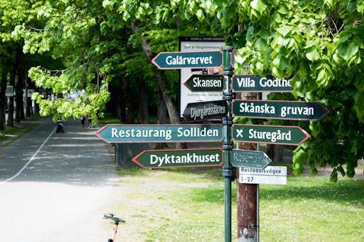 royal_djurgarden_tour-54-kopia-scaled.jpg
