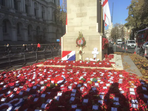 Cenotaph Poppies.jpg