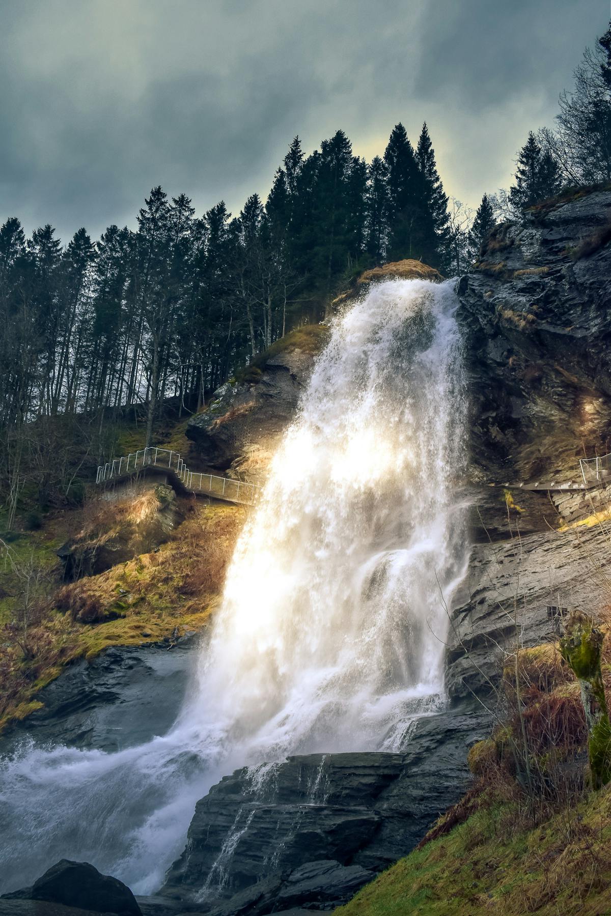 Private trip to Hardangerfjord (1).jpeg