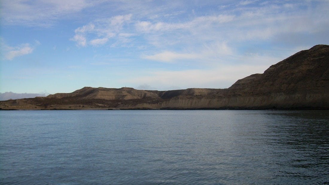 Peninsula Valdes whale watching 3.jpeg