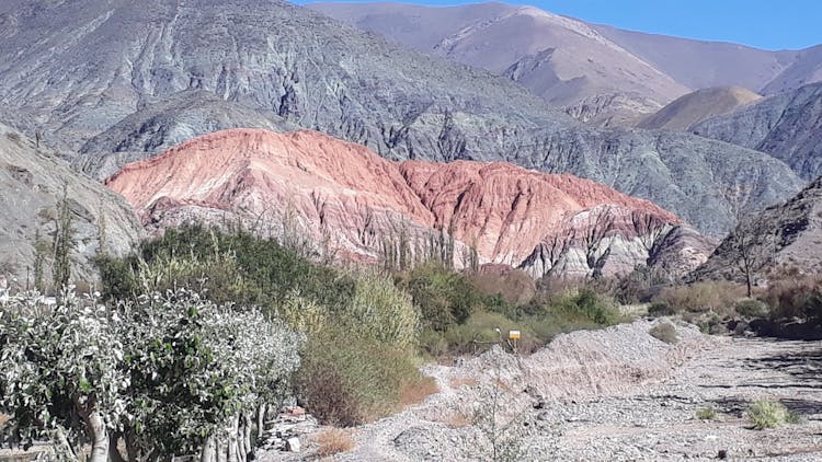 Quebrada de Humahuaca guided excursion