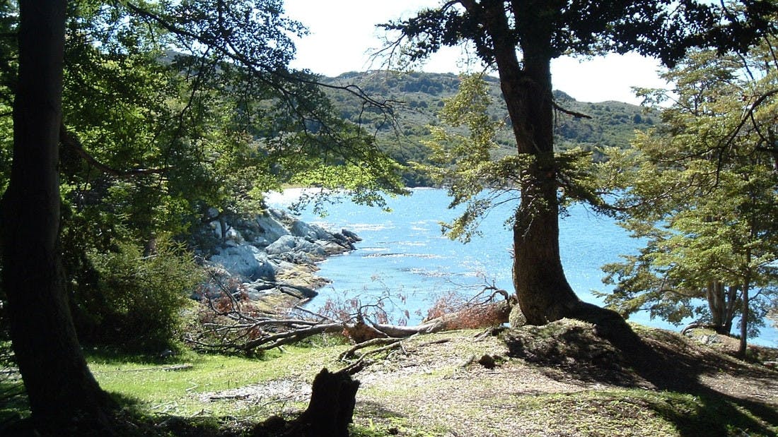 Tierra del Fuego National Park 1.jpeg