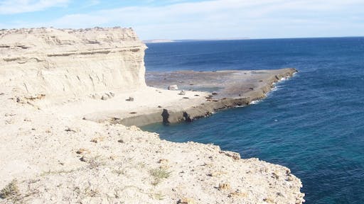 Peninsula Valdes Puerto Madryn 2.jpeg