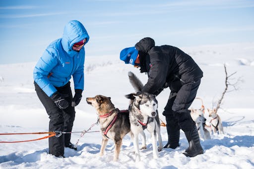 CM_Fulufjäll_2018_D800-196.jpg