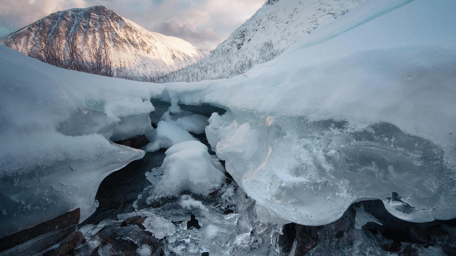 Arctic_landscapes_Wandering_Owl_frozen_landscape.jpg