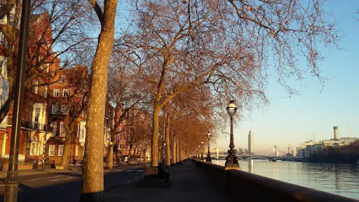 South Kensington and Chelsea  (4).jpg