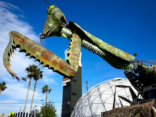 LasVegasWalkingTours_FremontCasinoCenter_5_ContainerPark.jpg