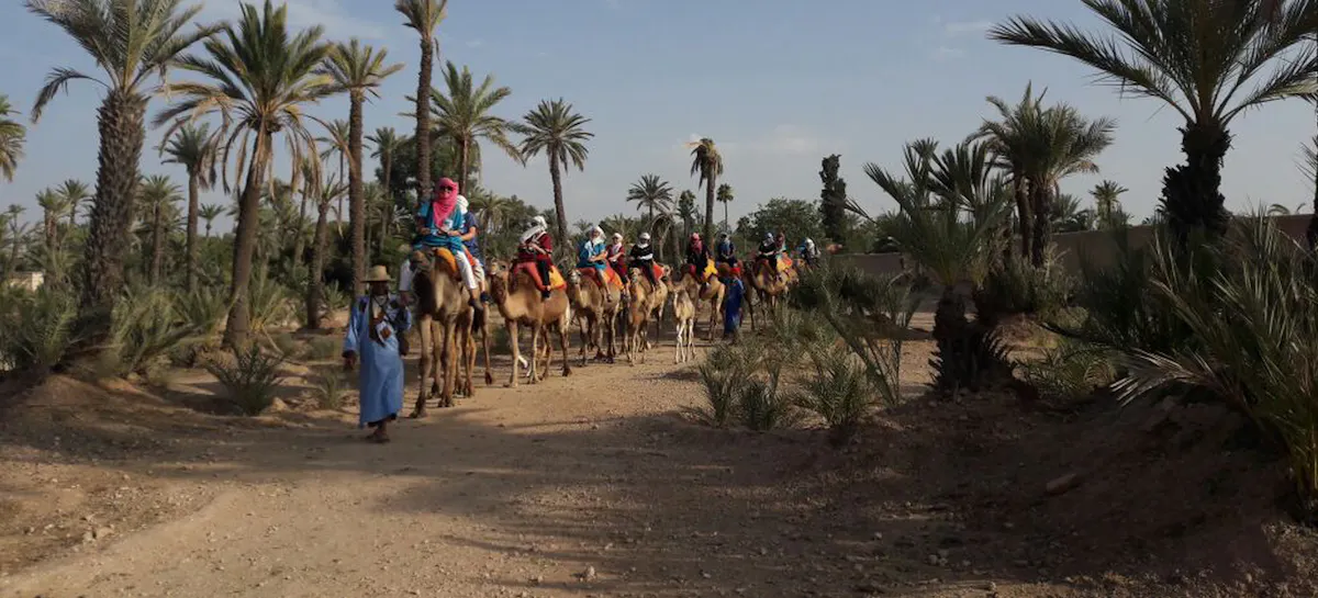Balade en chameau à Marrakech.png
