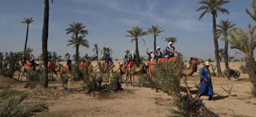 Balade à dos de chameau.png