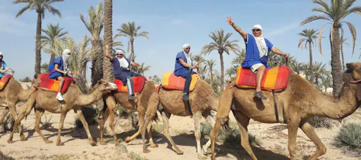 Balade à dromadaire Marrakech.png