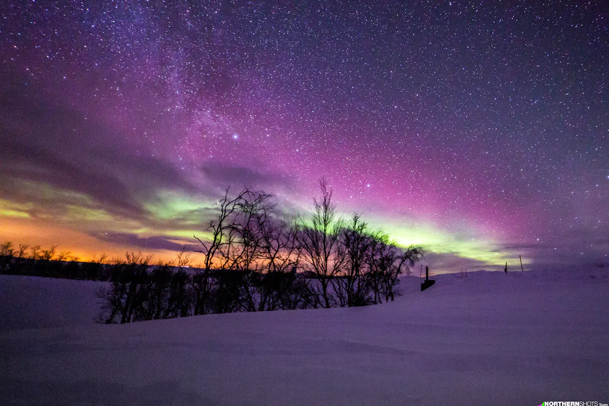 Aurora chase with professional photographers (3).jpg