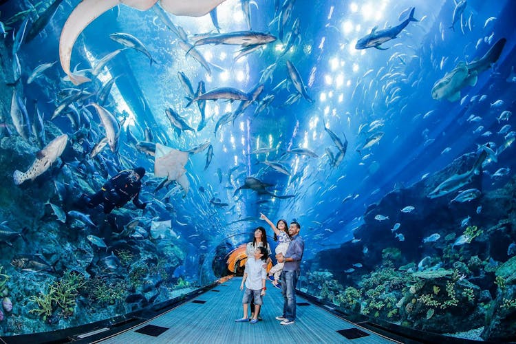 Dubai Unlimited Attractions Pass