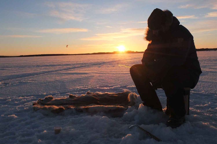 Guided ice fishing experience in Luleå