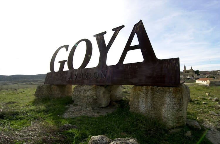 Full-day wine tour and visit to Goya's birthplace
