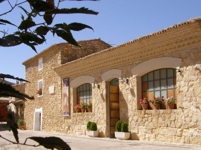 Full-day wine tour and visit to Goya's birthplace