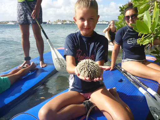 Stand Up Paddle 2.JPG