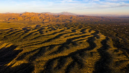 DJI_0981.jpg