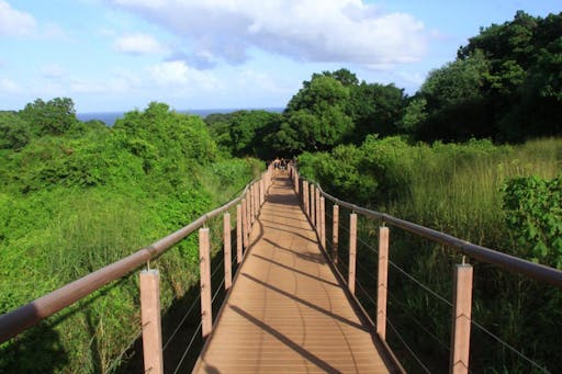 Costa dos Mirantes Fernando de Noronha Brazil 2.jpg