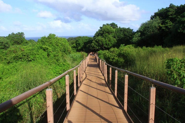 Costa dos Mirantes guided tour