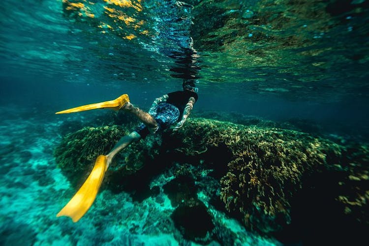 Portobelo snorkel and kayak excursion