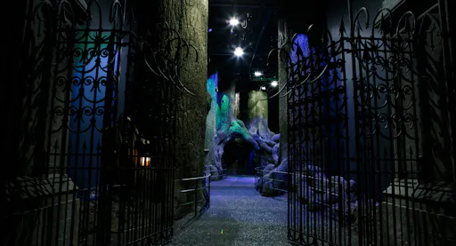 Warner Bros - Forbidden Forest-IF41.jpg