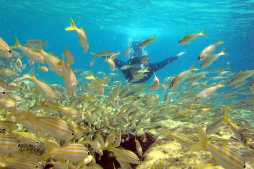 4x4 Off-Road Island Tour Fernando de Noronha Brazil 2.jpg