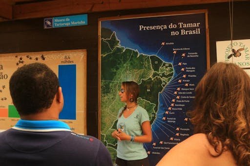 4x4 Off-Road Island Tour Fernando de Noronha Brazil 4.jpg