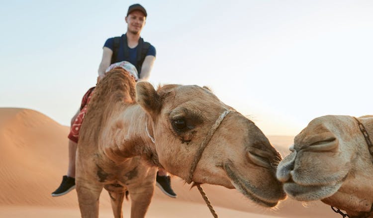 Desert safari with private beach and pool access in Palm Jumeirah